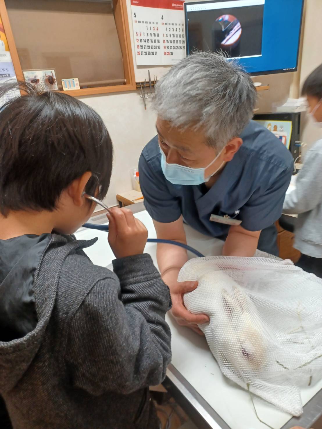 はなとたねサマースクール 7/24職業体験くぼた動物病院