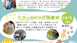 9月～11月のイベント紹介