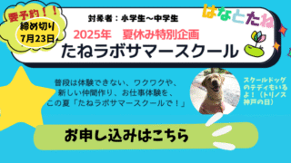 サマースクール2025